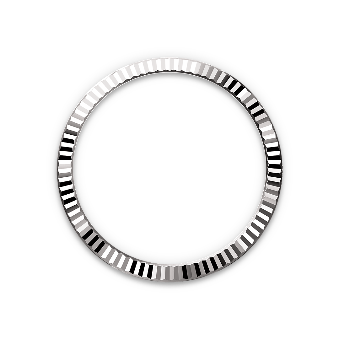 rolex bezel landscape m228239 0033