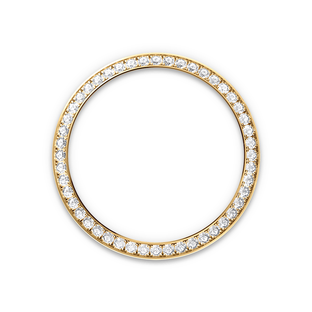rolex bezel landscape m228348rbr 0002