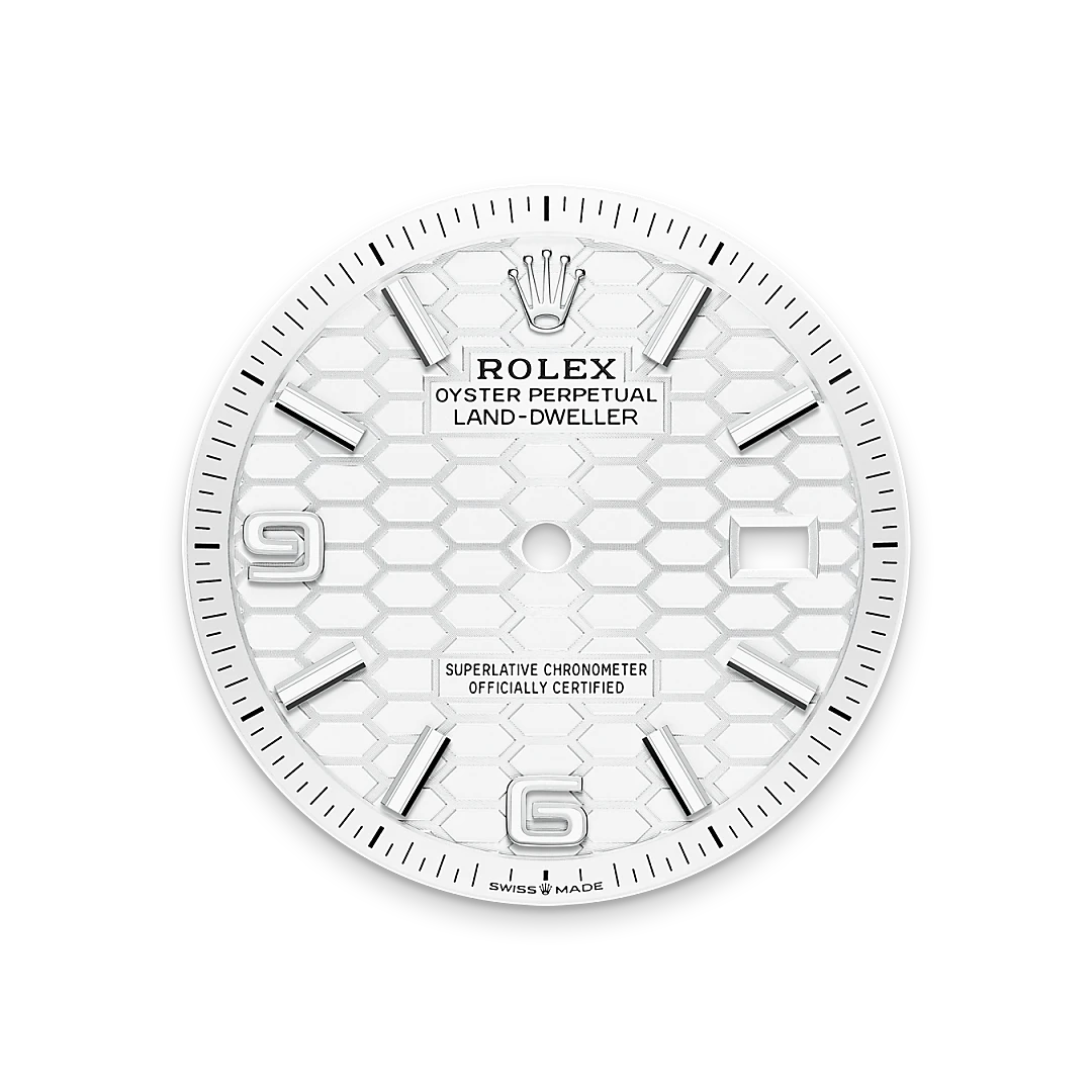 Rolex Land-Dweller in Oystersteel And White Gold, M127234-0001 - Knar Jewellery