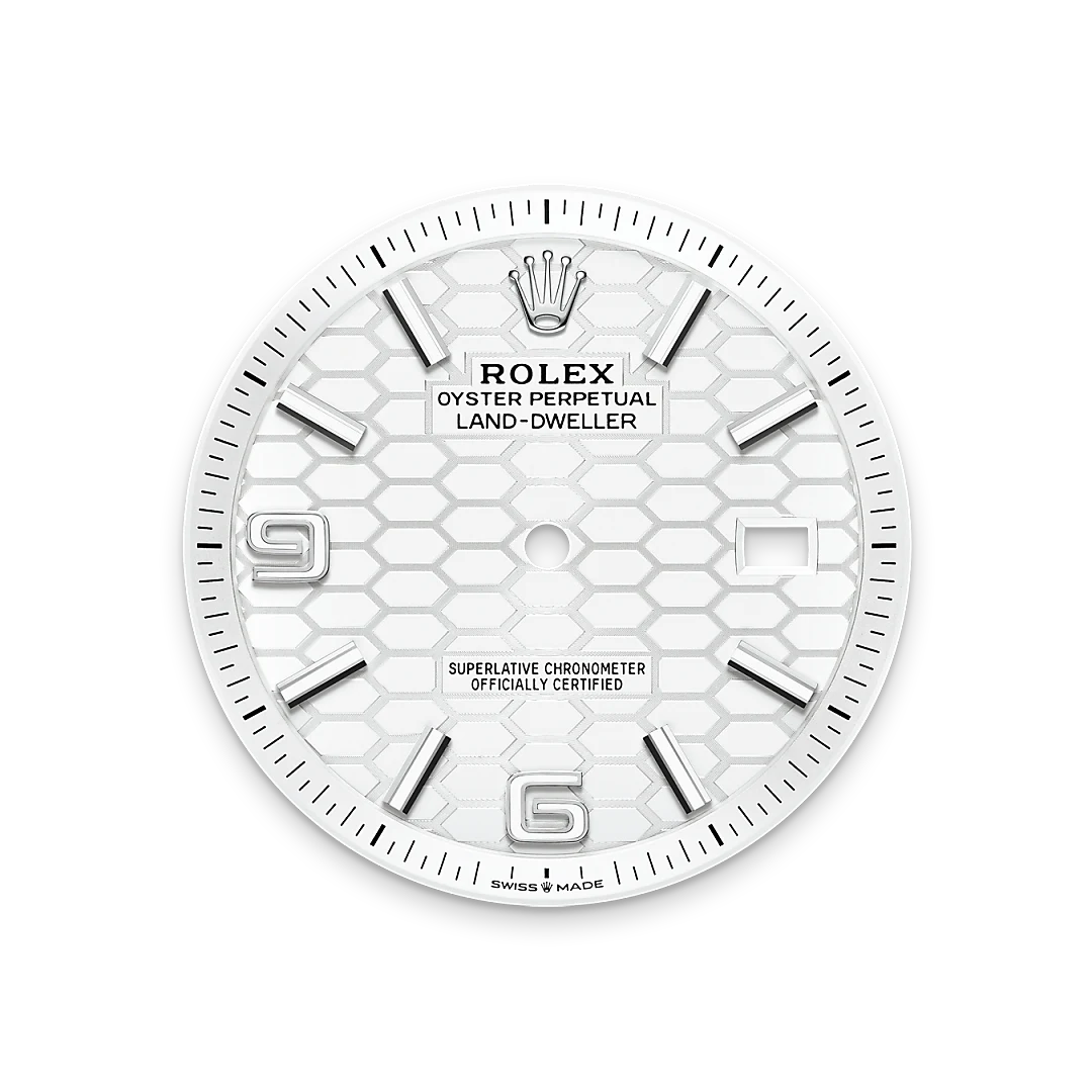 Rolex Land-Dweller in Oystersteel And White Gold, M127334-0001 - Knar Jewellery