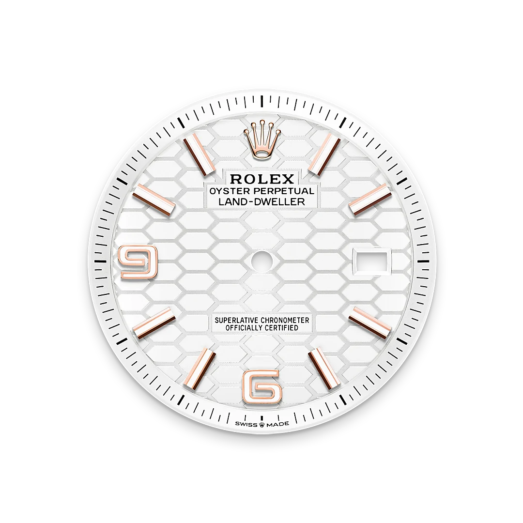 Rolex Land-Dweller in Everose Gold, M127335-0001 - Knar Jewellery