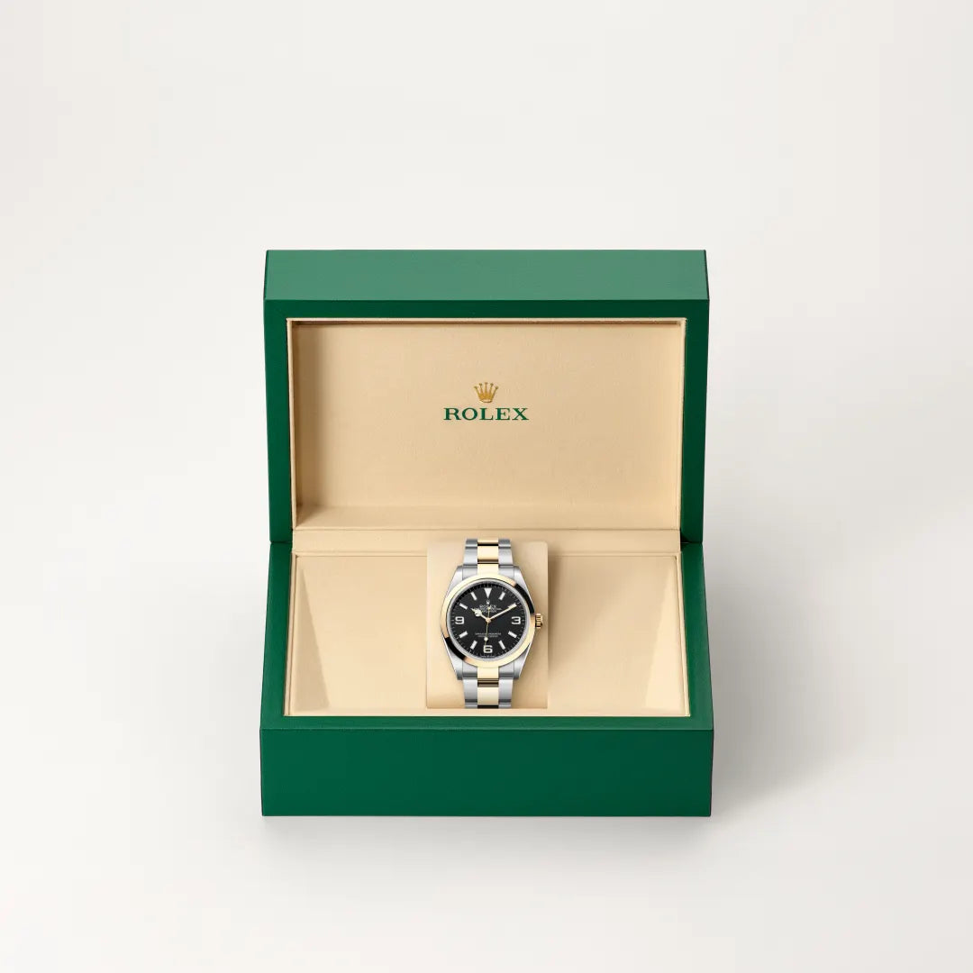 Rolex Explorer in Oystersteel And Yellow Gold, M124273-0001 - Knar Jewellery