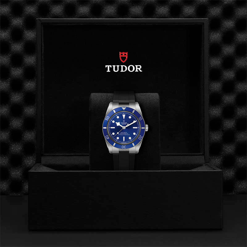 TUDOR Black Bay 54 37 M79000B-0002